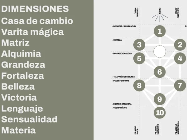 El Árbol y las Dimensiones