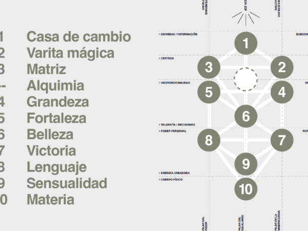 El Árbol y las Dimensiones